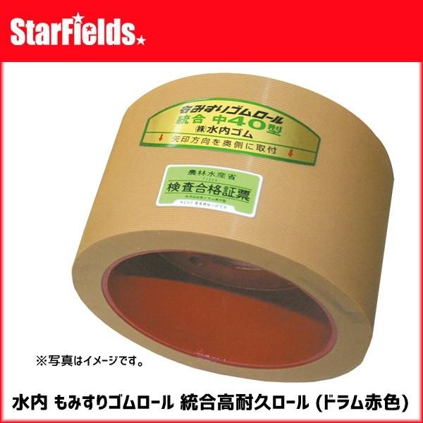  ݂S[ 30 ϋv[ hԐF ݂胍[  mizuuchi