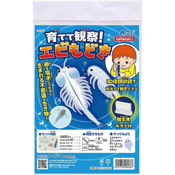 アーテック 育てて観察！エビもどき No.58486