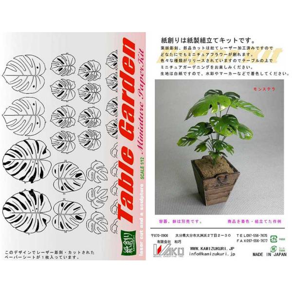 観葉植物の人気者で独特の葉型が特徴ですね。見本には艶ありの缶スプレーを吹いて、艶を出してみました。※この商品は塗装、組み立てが必要です。※容器、鉢は別売りです。■キット内容：1株■材質：再生紙、地巻きワイヤー■メーカー：和巧検索ワード：ペー...