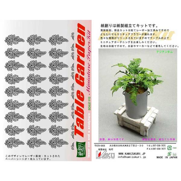 小さな葉が寄集ったかわいい観葉植物をキット化しました。手間は掛けずにリアルな観葉植物をコレクションに加えてください。※この商品は塗装、組み立てが必要です。※容器、鉢は別売りです。■キット内容：1株■材質：再生紙、地巻きワイヤー■メーカー：和...