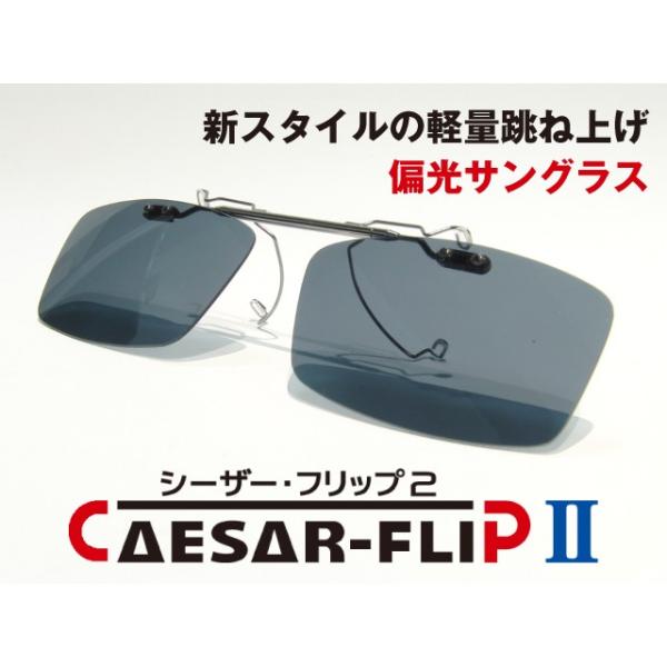 i CAESAR-FLIP2 O| ΌTOX XNGA^ S202 K^