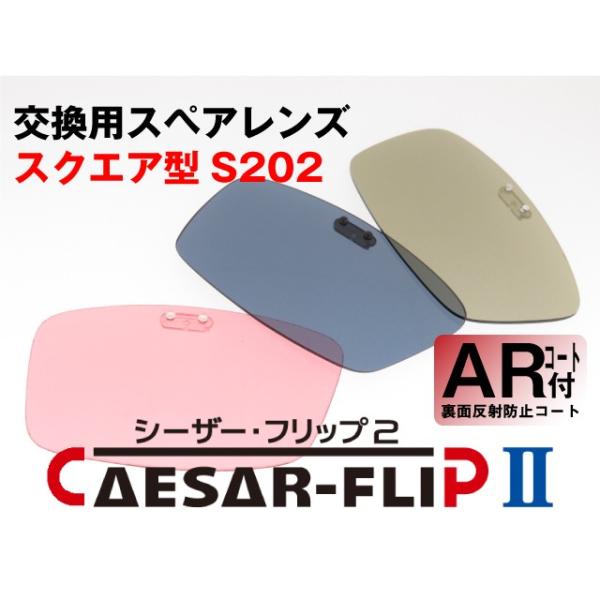 Hς pXyAY CAESAR-FLIP2 O| ΌTOX XNGA^ S202 ARR[gt(ʔ˖h~)