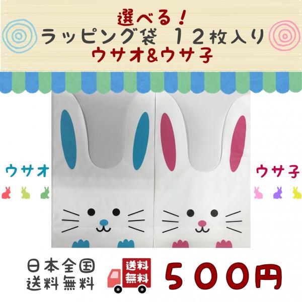 選べる ラッピング袋 12枚入り かわいい うさぎ ギフト 子供 500 ポイント消化 送料無料 よりどり