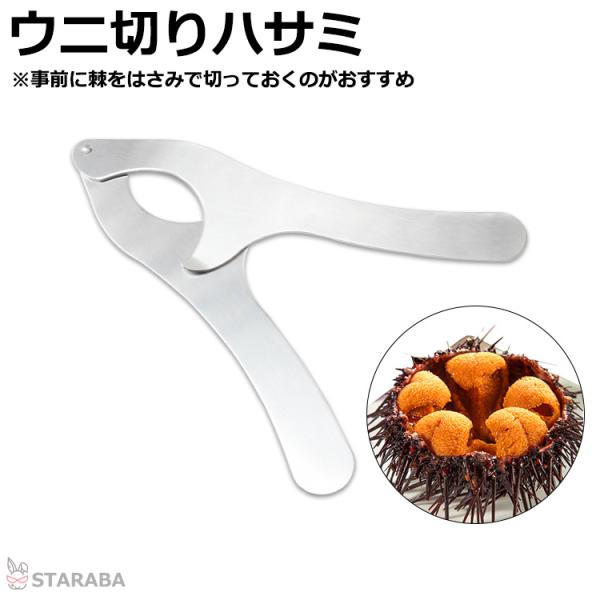 ウニ切りハサミ ウニ専用ハサミ ステンレス製 軽型 使いやすい 効率 キッチンツール　キッチン用品 キッチンバサミ 便利 簡単 安全 230mm 送料無料
