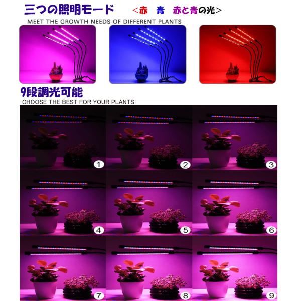 4ヘッド Led電球 水草栽培 植物育成用適用 温室水耕栽培 室内植物育成ライト 高輝度 水耕栽培ランプ 送料無料 Jauce Shopping Service Yahoo Shopping