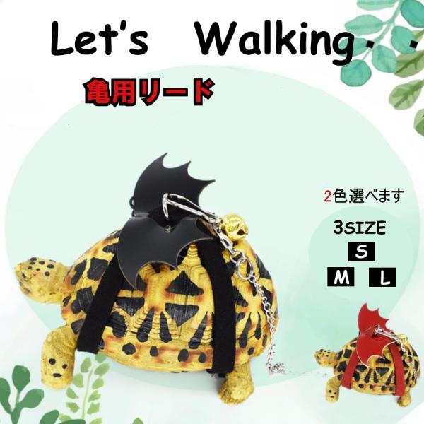 カメ 亀 みんな探してる人気モノ カメ 亀