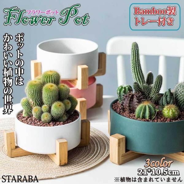 staraba_yk660