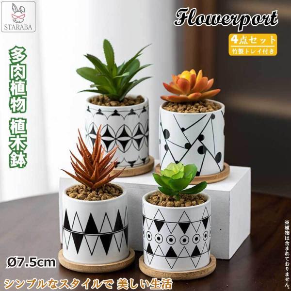 多肉植物 鉢 ミニ植木鉢 4点セット 母の日 おしゃれ 陶器鉢 観葉植物