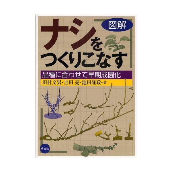 図解ナシをつくりこなす 品種に合わせて早期成園化