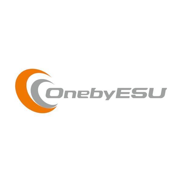 OnebyESU(ワンバイエス) JFF #805z フレームのみカラーオーダーLサイズ