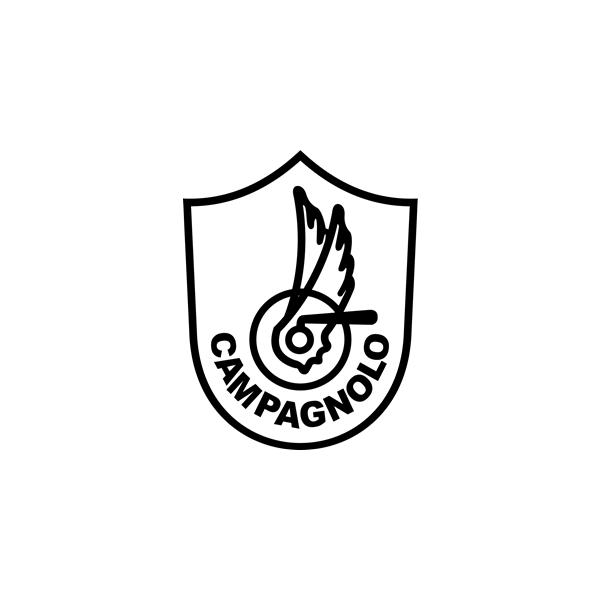 Campagnolo（カンパニョーロ） crankset fixing bolt FC-SR007