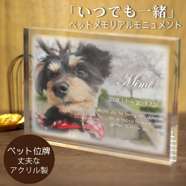 ybgʔv łꏏ  ybg A v[g jg 䕧O  ʐ^  AN