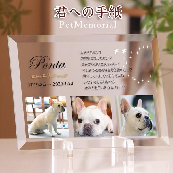 ybgʔv Nւ̎莆 ybg A v[g KX jg ʐ^3 䕧O