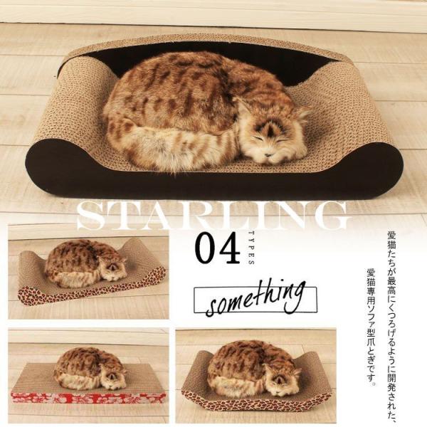 猫 爪とぎ 鳥 小動物用品の人気商品 通販 価格比較 価格 Com
