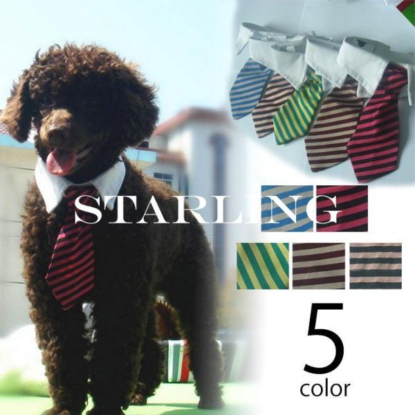 犬 コスプレ その他犬用ペットグッズの人気商品 通販 価格比較 価格 Com