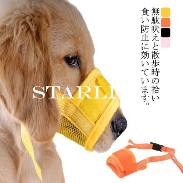 大型 犬 口輪 - ペットの人気商品・通販・価格比較 - 価格.com 大型 犬 口輪 - ペットの人気商品・通販・価格比較 - 価格.com