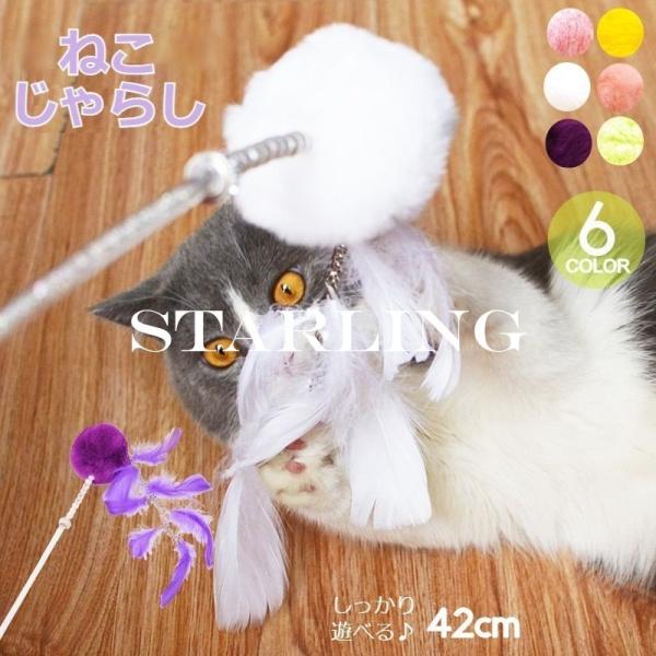 猫 ビーズ ペットの人気商品 通販 価格比較 価格 Com