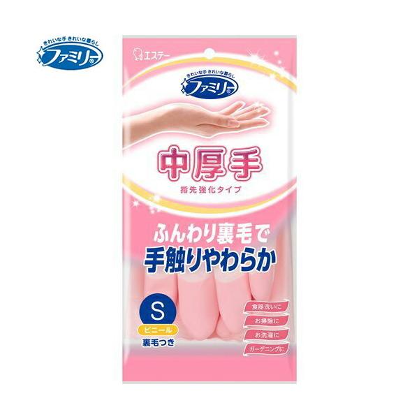 t@~[ rj[ w拭 sN STCY 1o GXe[ t@~[ |pi  ĂԂ ĝ