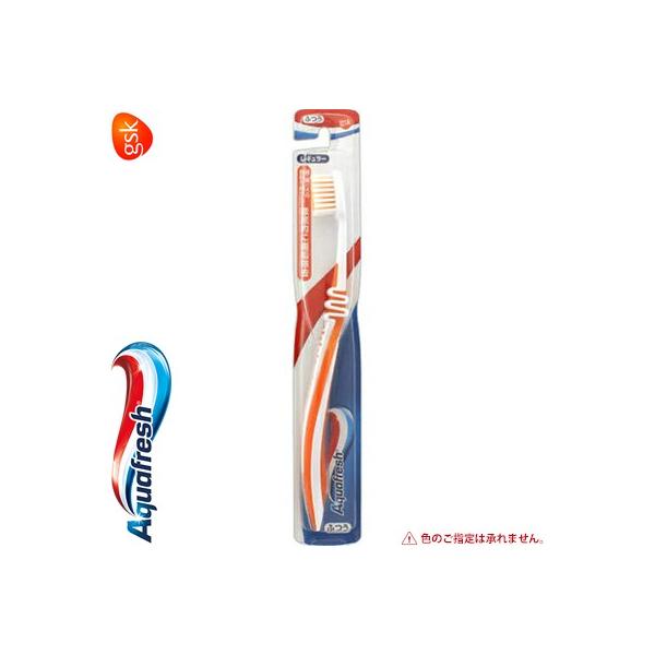 ANAtbV nuV ӂ 1{ A[X Aquafresh