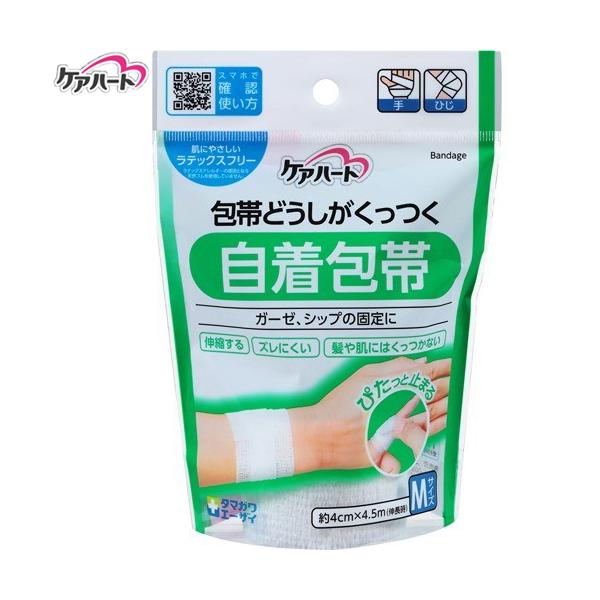 PAn[g тǂ  MTCY 1 ʐq Care Heart