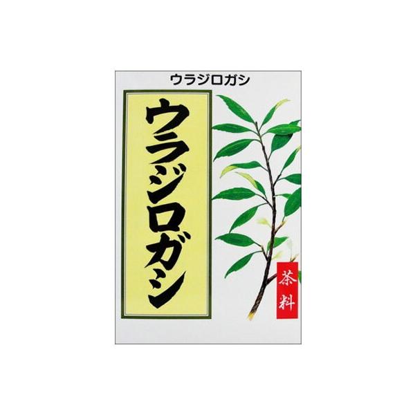 �E���W���K�V 5g×24�� ����a��������