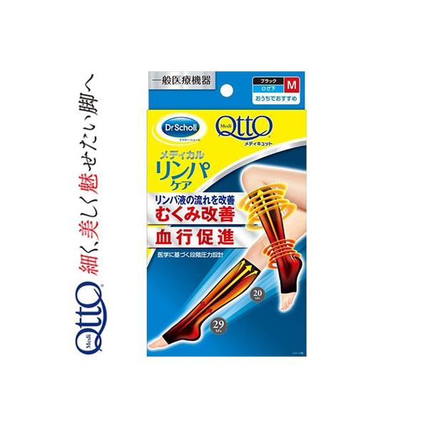 ŃfBLbg Ђ ubN MTCY 1 LbgxL[U[ hN^[V[