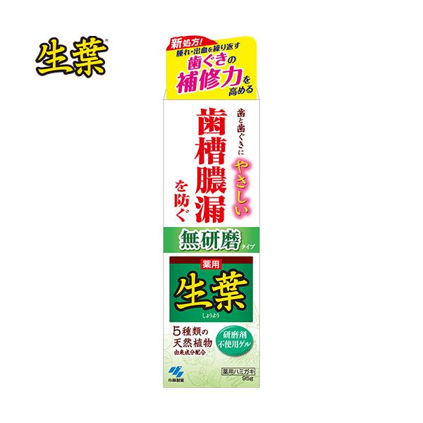 pt^Cv 95g 򕔊Oi ѐ t