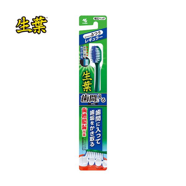 t ԂɓuV M[wbh ӂ 1{ ѐ t