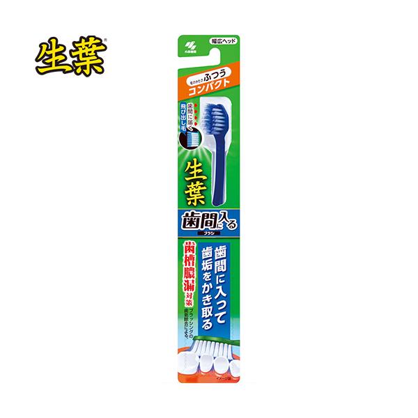 t ԂɓuV RpNgwbh ӂ 1{ ѐ t