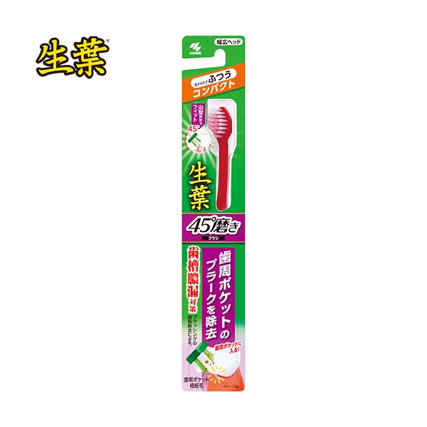 t 45xuV RpNg ӂ 1{ ѐ t