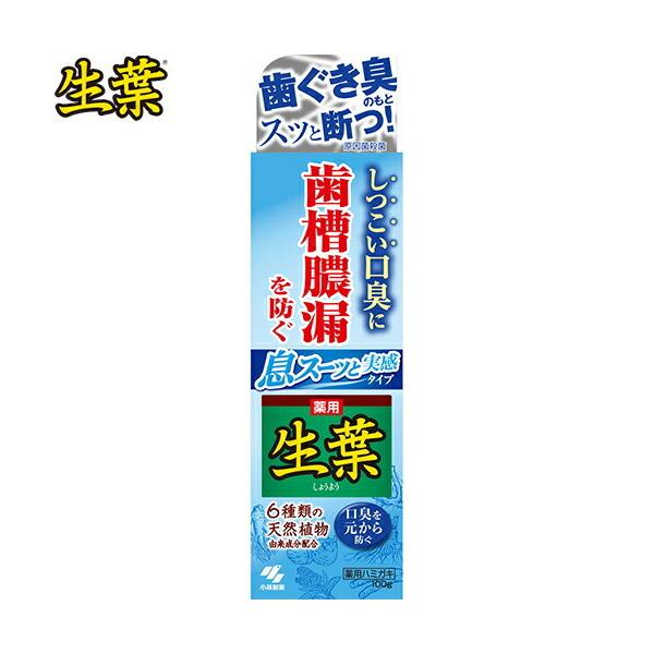 t X[bƎ 100g 򕔊Oi ѐ t I[PA f^PA \h ݂  