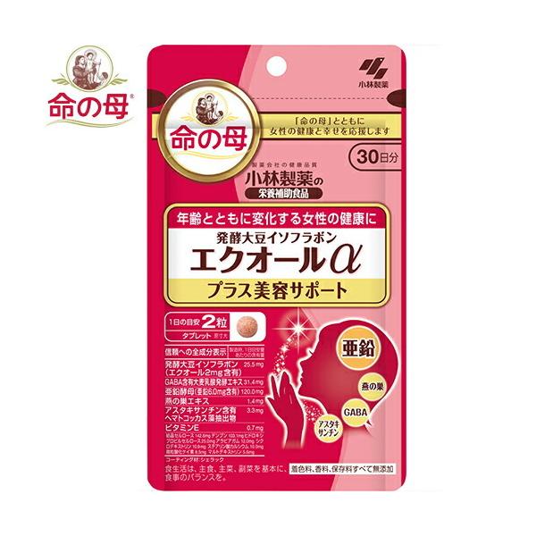 GNI[vX eT|[g 60 ѐ h{@\Hi