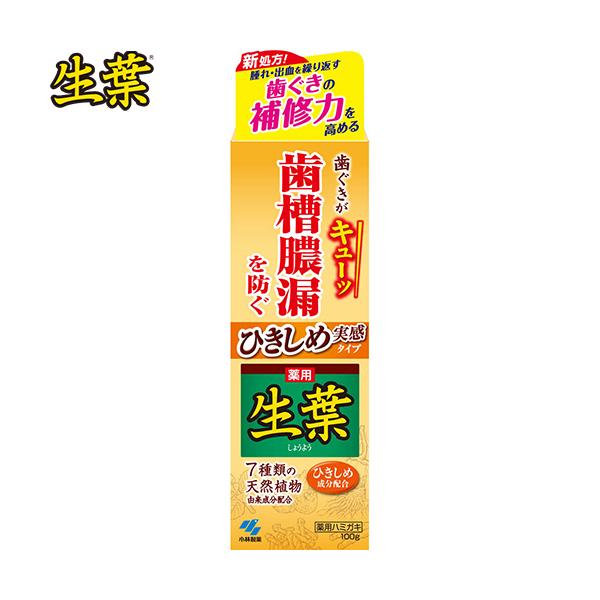 pЂߐt 100g 򕔊Oi ѐ t