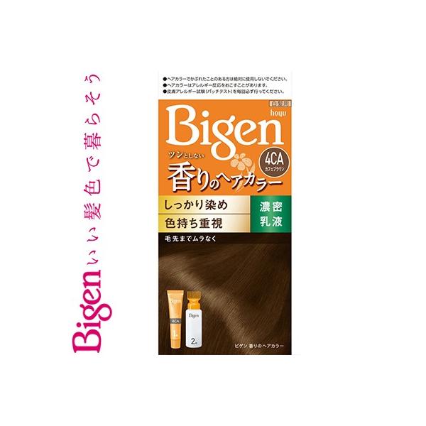 �r�Q�� ����̃w�A�J���[ ���t 4CA �J�t�F�u���E�� 40g+60mL ����򕔊O�i �z�[���[ Bigen