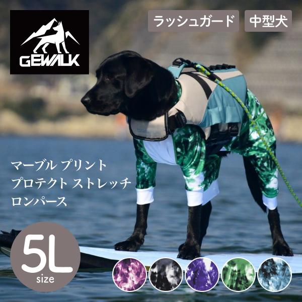 チワちゃん専用ページ 豆柴 イラスト 無料 | TikTok