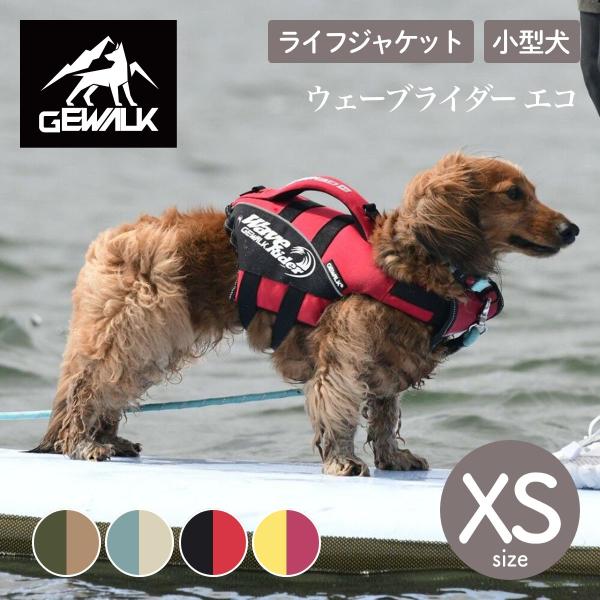 GEWALK ジウォーク 2025年モデル ウェーブライダー エコ XS