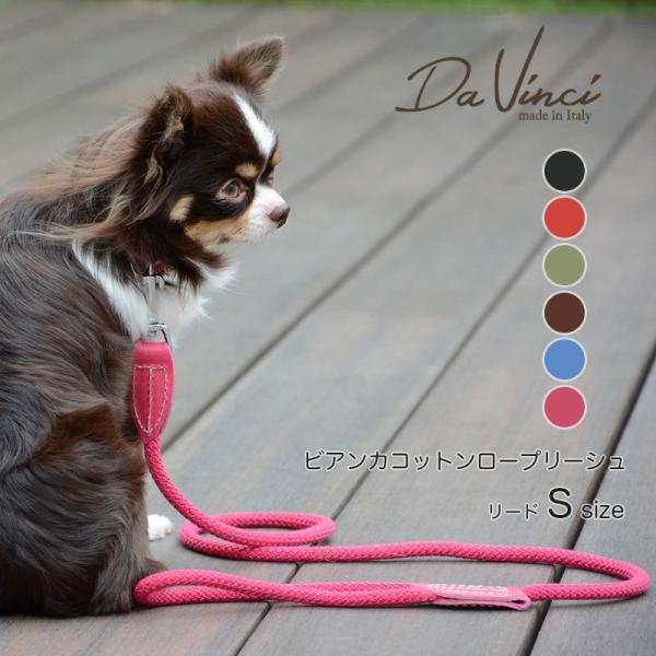 Da Vinci ダヴィンチ ビアンカコットンロープリーシュ サイズS［カラー6色］ダ ヴィンチ リード 犬  :dav0-007-200827:STARRY 通販 