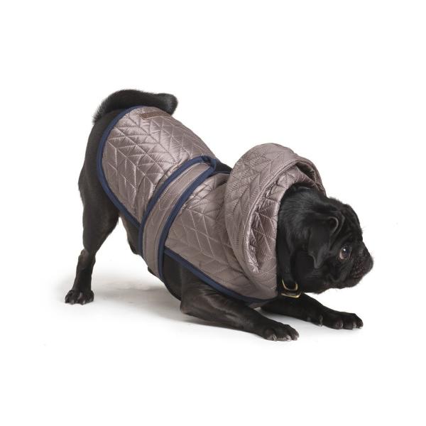 LoveThyBeast@uEUCEr[Xg iCobt@WPbgJ[F O[  TCY 6E8@݌ɌŏI