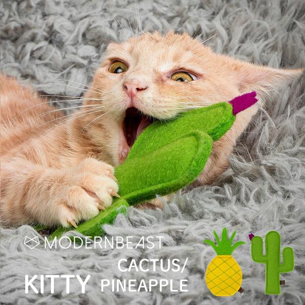 MODERNBEAST KITTY CACTUS^PINEAPPLE LeB T{e^pCibv LbggC }^^r Lp _r[Xg