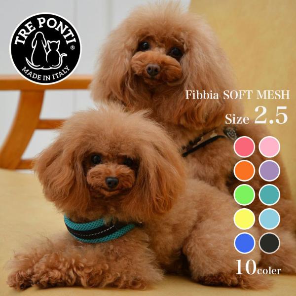 ●商品到着後、レビュー投稿でクーポンプレゼント中！