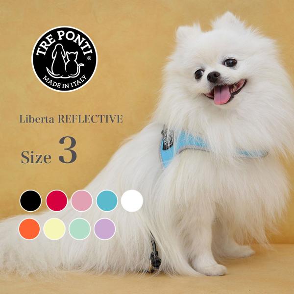 ●商品到着後、レビュー投稿でクーポンプレゼント中！