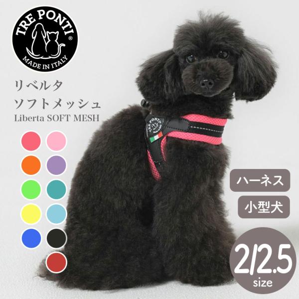 ●商品到着後、レビュー投稿でクーポンプレゼント中！