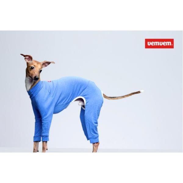 vemvem FF I[C oGFCgX/XJCu[ C^AO[nEh C^O EBybg   ݌ɌŏI