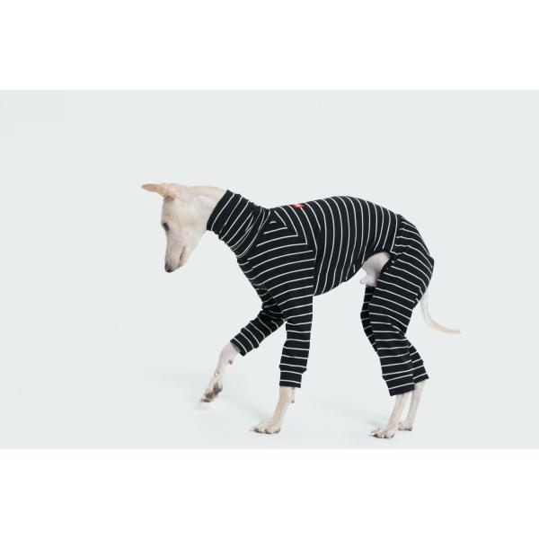 vemvem FF I[C~p oGFXq[gXgCv/ubN C^AO[nEh C^O EBybg   ݌ɌŏI