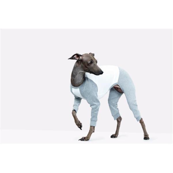 vemvem FF TVc oGFXq[g OTVc O[ S`XL C^AO[nEh C^O EBybg   ݌ɌŏI