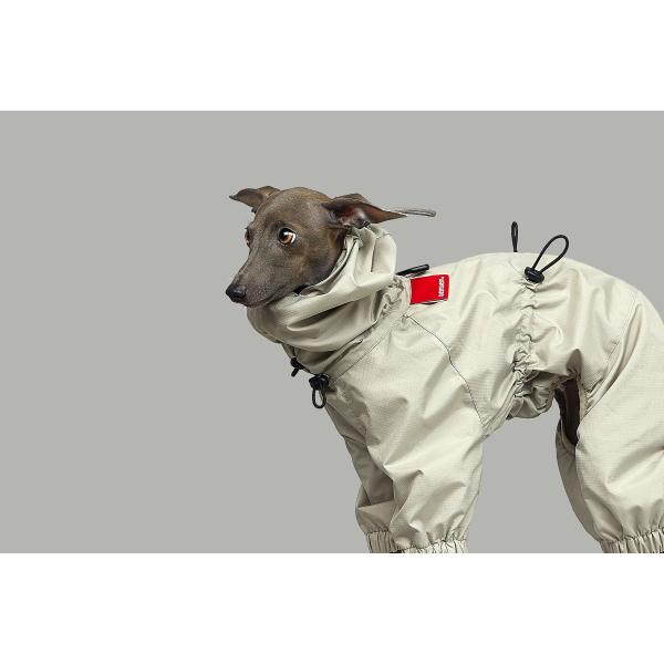 vemvem FF R[g OBeBFX[p[u[J[ xW~x[W S`XX C^AO[nEh C^O   ݌ɌŏI