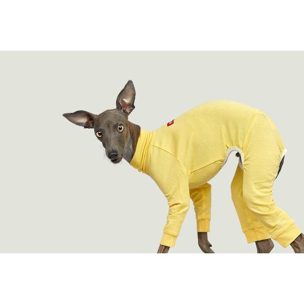 vemvem FF I[C oGFCgX [Xg S`XX C^AO[nEh C^O EBybg   ݌ɌŏI