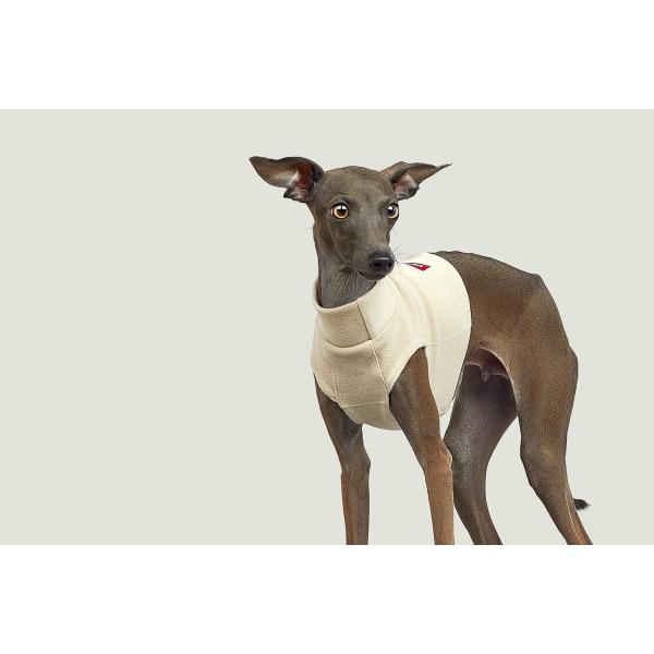 vemvem FF EGA C[FeBOJbg JV[x[W TCY S/M/L/XL/XX C^AO[nEh C^O   ݌ɌŏI