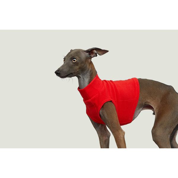 vemvem FF EGA C[FeBOJbg bTbh TCY S/M/L/XL/XX C^AO[nEh C^O   ݌ɌŏI