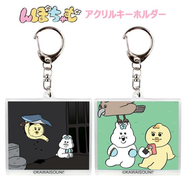 メール便 ヨーグルトの妖精 んぽちゃむ チェンジング アクリル